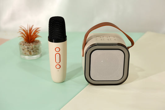 Portable Bluetooth Speaker with Wireless Microphone