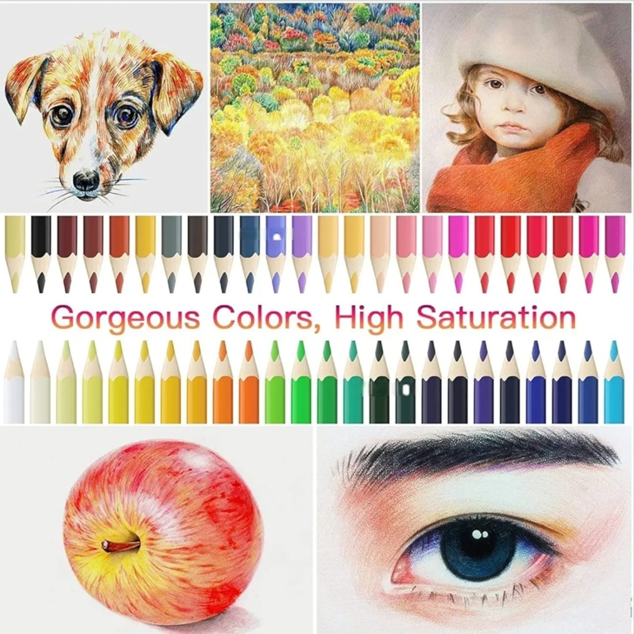 Giorgione Classic Colour Pencils – 48 Colors Metal Tin Box